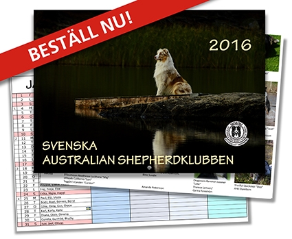 Auddiekalendern 2016