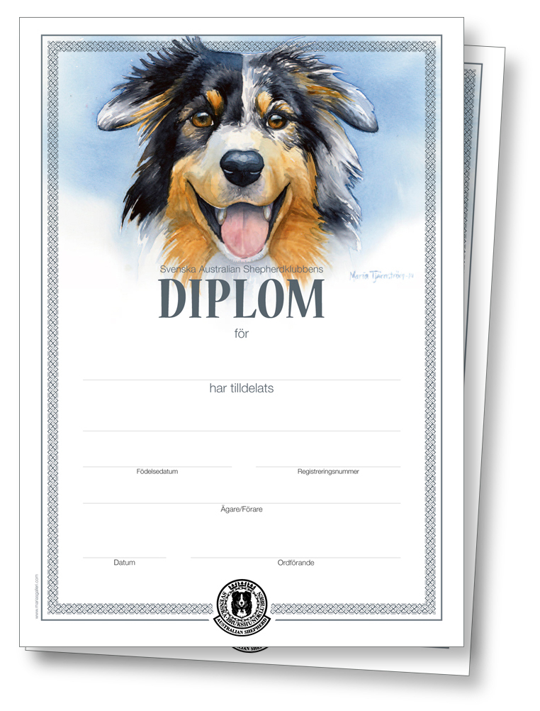 SASKs Diplom