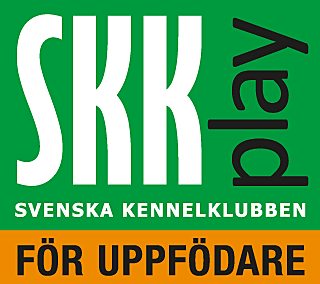 SKK Play för uppfödare