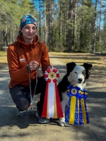 Tranbärets Skyfall - Senja Tranbärets Skyfall - Senja