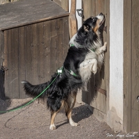 Meet MyOwn Black Ice - Jazz Meet MyOwn Black Ice - Jazz