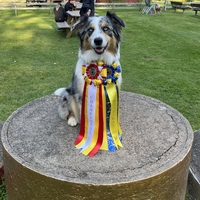 Chess Player Mary Poppins - Pixie Chess Player Mary Poppins - Pixie