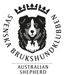 SASK Standardlogga 2018