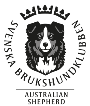 SASK Standardlogga 2018