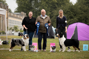 Prispall för rasspecialen inkluderande Hearthaven Take A Good glance.