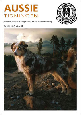 Aussietidningen