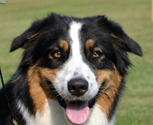 Easy Unique - Easy Easy Unique - Easy